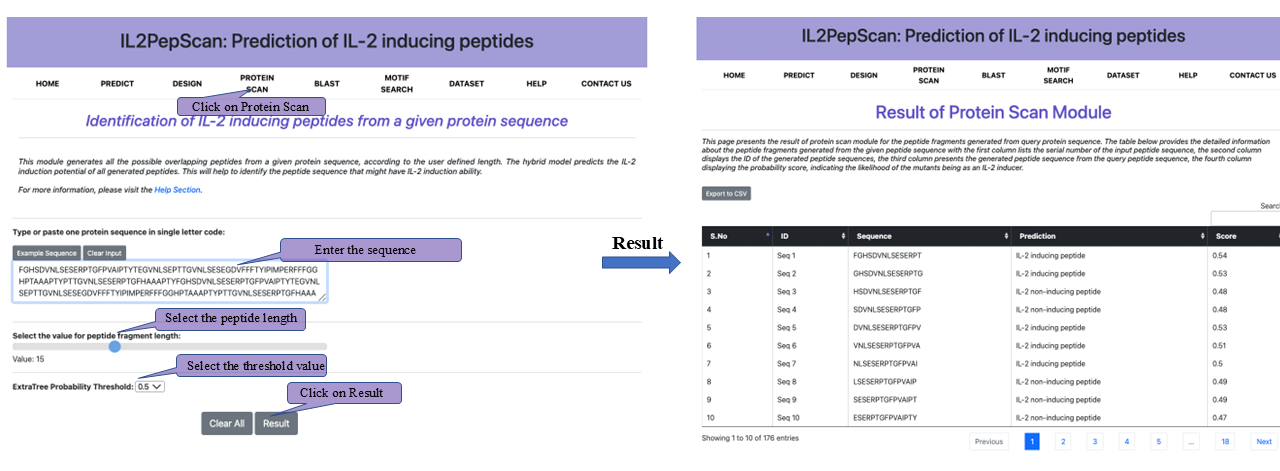 protein help